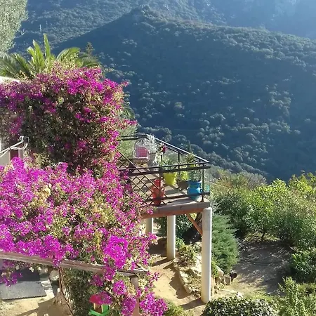 Conviviale A Avec Piscine Privee Olmeto (Corsica)
