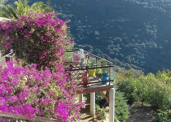 Conviviale A Avec Piscine Privee Olmeto (Corsica)